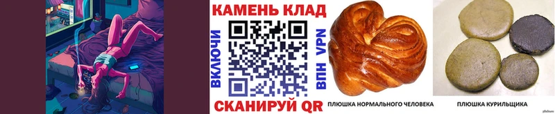 Купить где  Заозёрск  ГАШИШ убойный 