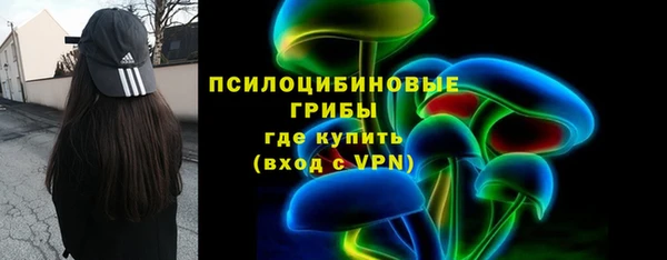 бошки Володарск