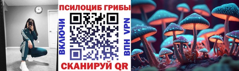 Купить где  Заозёрск  Галлюциногенные грибы Psilocybine cubensis 